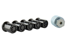 Load image into Gallery viewer, Ford Racing M12X1.5 Black Security Lug Nut - Set of 5