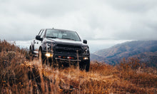Cargar imagen en el visor de la galería, BuiltRight Industries 17-19 Ford Raptor Perfect-Fit Stubby Antenna