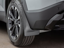 Cargar imagen en el visor de la galería, Photo - Mounted