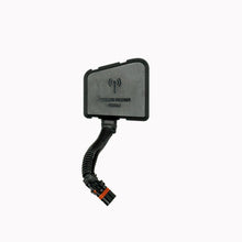Cargar imagen en el visor de la galería, Photo - Unmounted