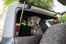 Load image into Gallery viewer, DV8 Offroad 2021-2024 Ford Bronco Dog Barrier