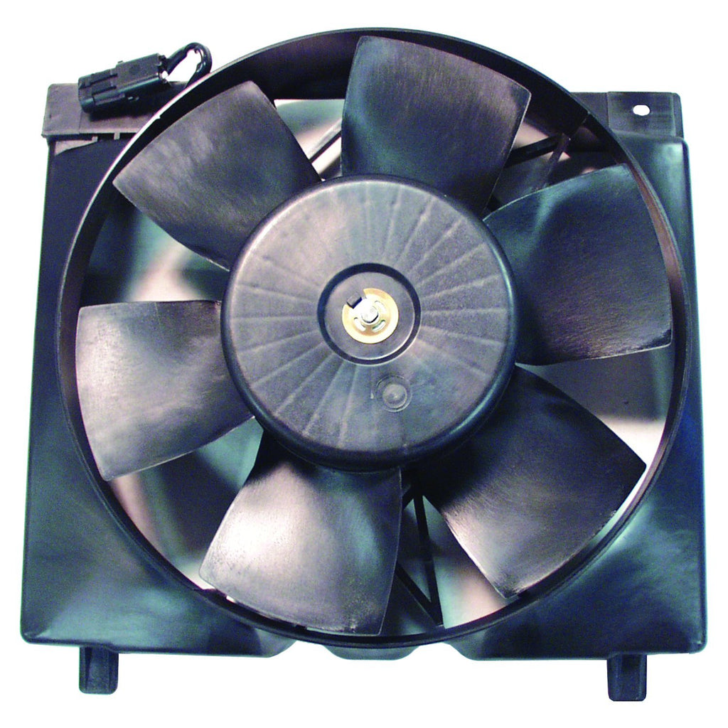 52005748.jpg