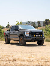 Load image into Gallery viewer, Photo - Close Up