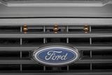LED Marker Kit 15-17 Ford F-150 Rough Country