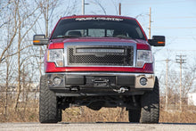 Cargar imagen en el visor de la galería, Mesh Grille 30 Inch Dual Row LED Chrome White DRL 09-14 Ford F-150 Rough Country
