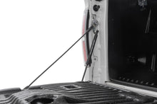 Load image into Gallery viewer, Tailgate Assist Ford F-150 2WD/4WD (2004-2014) Rough Country