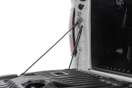 Tailgate Assist Ford F-150 2WD/4WD (2004-2014) Rough Country