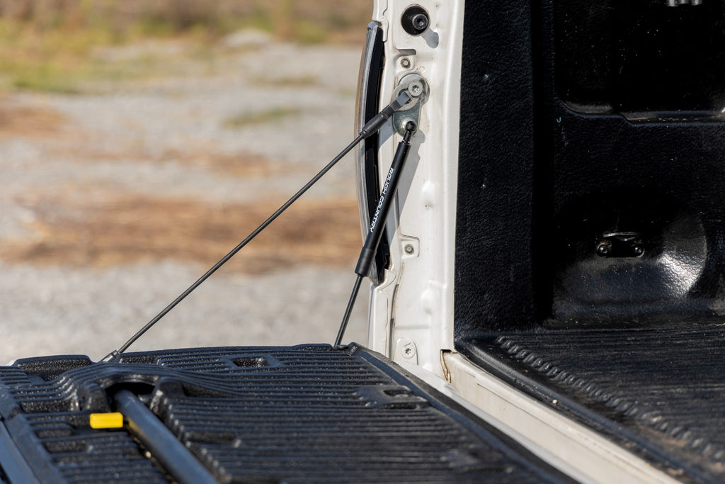 Tailgate Assist Ford F-150 2WD/4WD (2004-2014) Rough Country