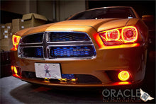 Cargar imagen en el visor de la galería, Photo - lifestyle view