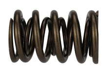 Cargar imagen en el visor de la galería, Ford Racing  Replacement Hydraulic Roller Valve Spring - Single (For M-6049-SCJA)