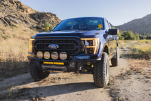 Cargar imagen en el visor de la galería, Photo - out of package