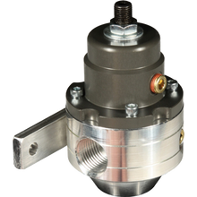 Cargar imagen en el visor de la galería, FASS Adjustable Fuel Pressure Regulator