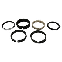 Cargar imagen en el visor de la galería, J0916688.jpg