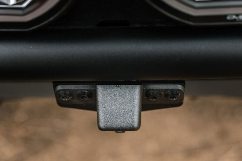 Photo - Close Up