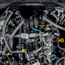 Cargar imagen en el visor de la galería, User 1