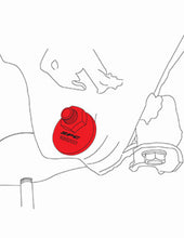 Cargar imagen en el visor de la galería, Line Art