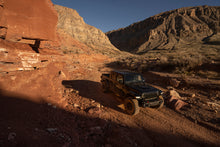 Cargar imagen en el visor de la galería, fox-stock-photo-gladiator-jt-ls-c.jpg
