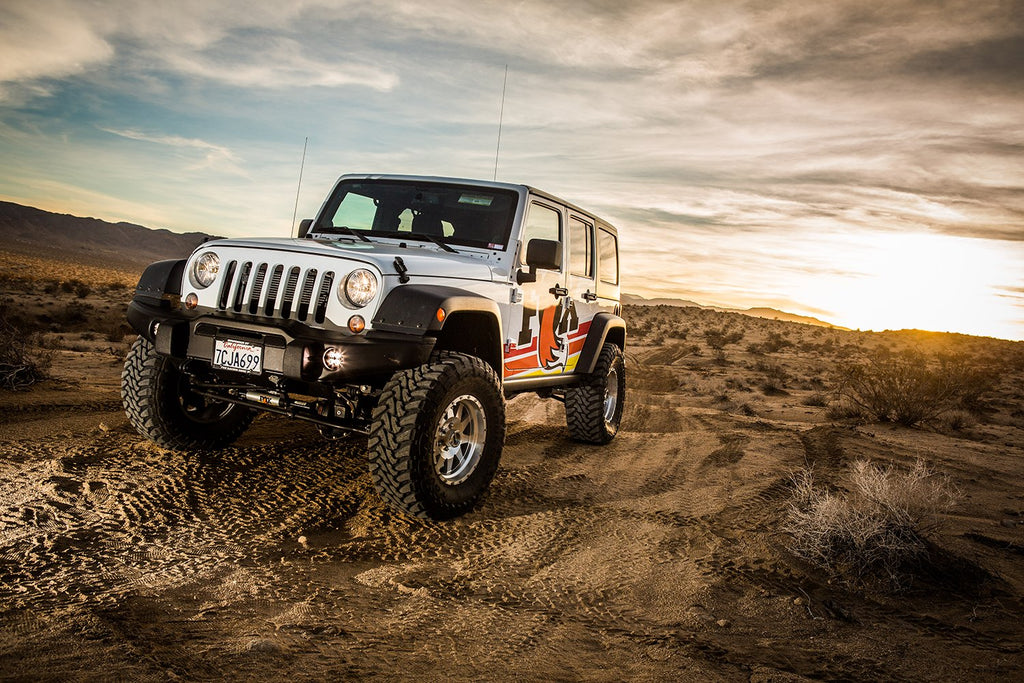 fox-stock-photo-jeepwrangler-ls-b.tif