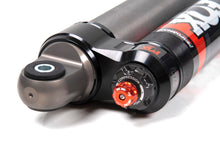 Cargar imagen en el visor de la galería, fox_88426025_04.jpg