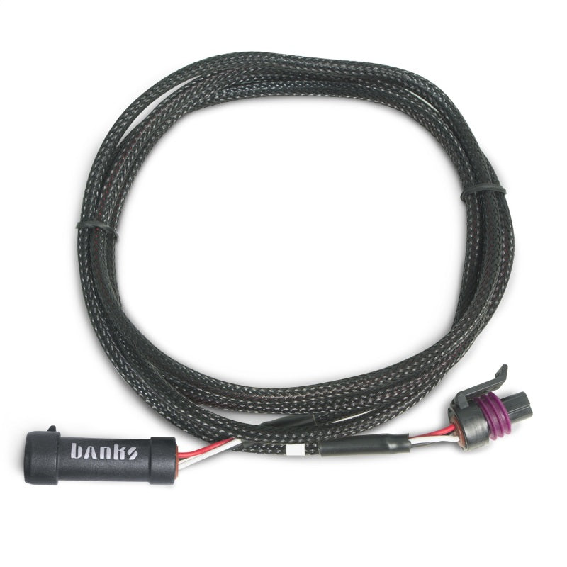 Cable Banks, extensión Delphi de 3 pines, 36 pulgadas