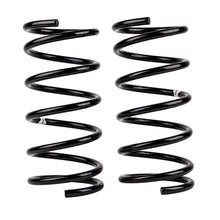 Cargar imagen en el visor de la galería, ARB / OME Coil Spring Rear Terracan &amp; Hd