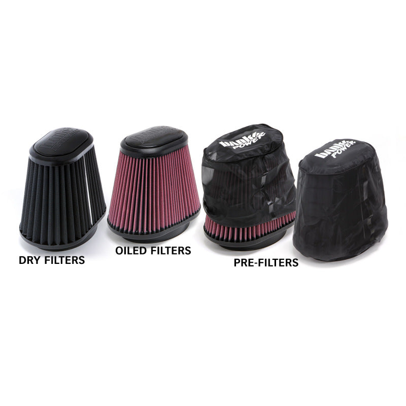 Banks Power 04-08 Ford 5.4L F-150 Sistema de admisión de aire Ram - Filtro seco