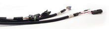 Cargar imagen en el visor de la galería, FAST Wiring Harness FAST Main