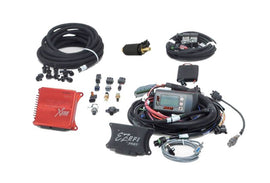 Kit FAST LS Transplant EZ-EFI en línea