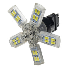 Cargar imagen en el visor de la galería, Oracle 3157 15 SMD 3 Chip Spider Bulb (Single) - Cool White SEE WARRANTY