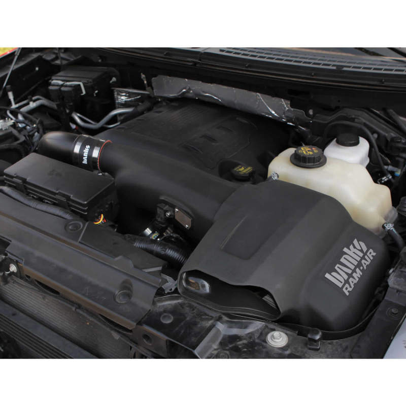 Banks Power 11-14 Ford F-150 3.5L EcoBoost Ram-Air Sistema de admisión - Filtro seco