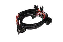 Cargar imagen en el visor de la galería, FAST Injector Harness Ev1 289302
