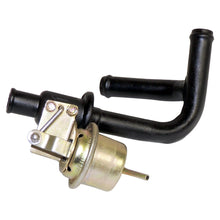 Load image into Gallery viewer, 52003226.jpg