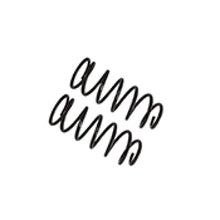 Cargar imagen en el visor de la galería, Bilstein B12 (Special) 10-18 Toyota 4Runner (w/o X-REAS) 1.5-2.0in Rear Suspension Lift Kit