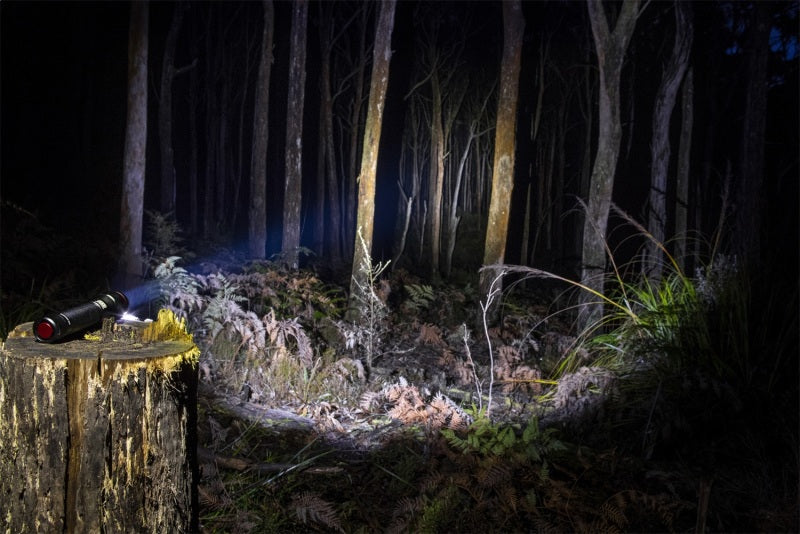 Linterna ARB Pureview 800 Linterna de 800 lúmenes