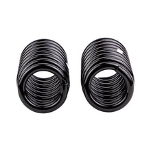Cargar imagen en el visor de la galería, ARB / OME Coil Spring Front Vitara 4 Lwb