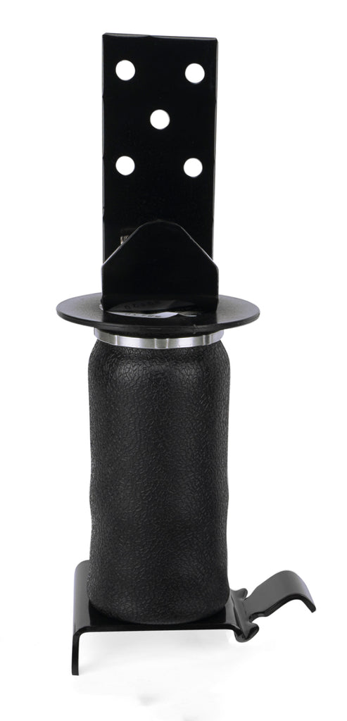 Air Lift Ridecontrol Air Spring Kit for use with leaf springs