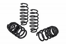 Cargar imagen en el visor de la galería, Eibach Pro-Kit para Tesla 3 de largo alcance (AWD) 17-19