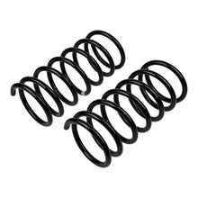 Cargar imagen en el visor de la galería, ARB / OME Coil Spring Rear Terracanr