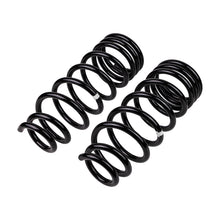 Cargar imagen en el visor de la galería, ARB / OME Coil Spring Rear Everest