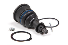 Load image into Gallery viewer, ZONC8203-pr.jpg