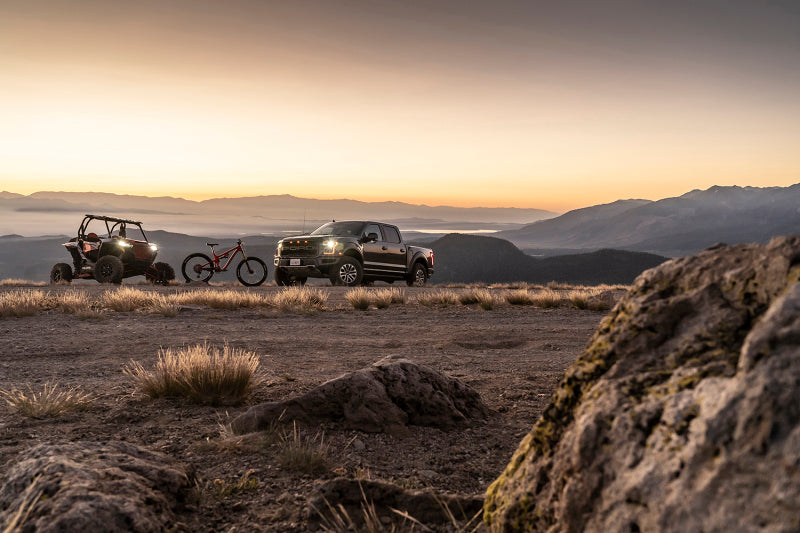 Fox 20+ GM 2500/3500 HD 2.0 Performance Series IFP delantero con amortiguador UCA Elevación de 1.5-2.5 pulgadas