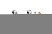 Load image into Gallery viewer, bds_122401.jpg