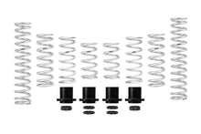 Cargar imagen en el visor de la galería, Eibach Pro-UTV 19-20 Polaris RZR XP 1000 Turbo 2-Seat Stage 3 HD Performance Spring System