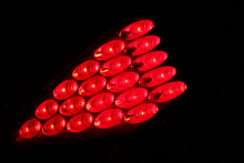 Cargar imagen en el visor de la galería, ANZO 2003-2005 Nissan 350Z Luces traseras LED negras