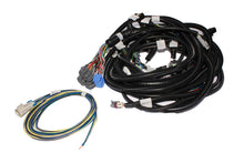 Cargar imagen en el visor de la galería, FAST Wiring Harness Main LS1LS2L