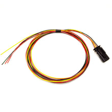 Cargar imagen en el visor de la galería, Cable flexible de entrada de frecuencia de alimentación de bancos: macho de 4 pines para iDash 1.8 DataMonster y Super Gauge