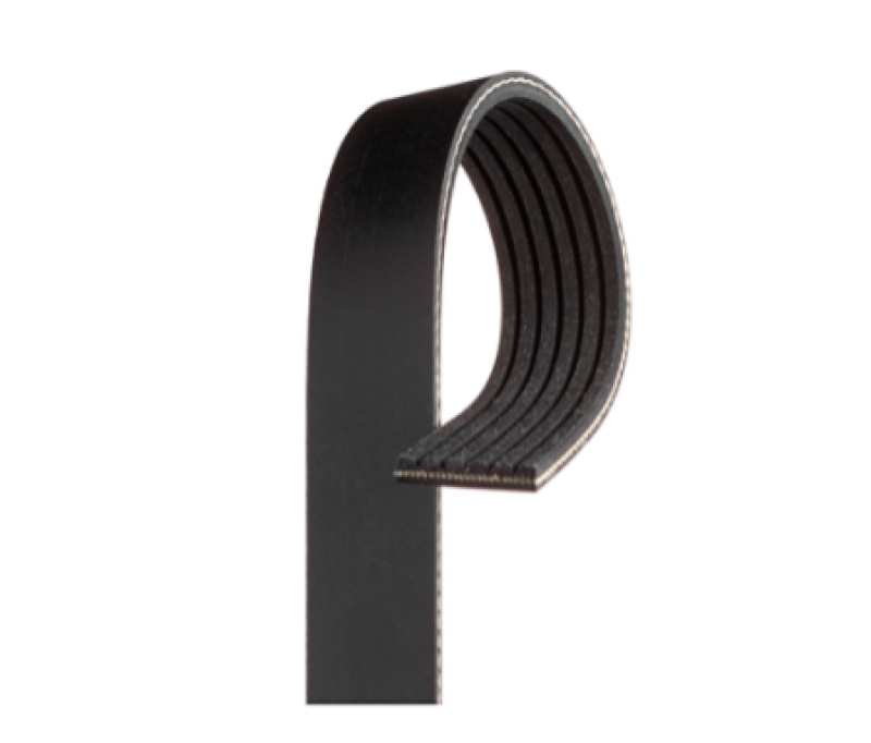 Correa serpentina Gates Performance Micro-V, 12 nervaduras, 96,41 pulgadas de largo