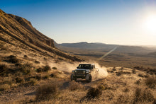 Cargar imagen en el visor de la galería, fox-stock-photo-gladiator-jt-ls-b.jpg