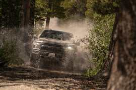 fox-stock-photo-my19-raptor-d.jpg
